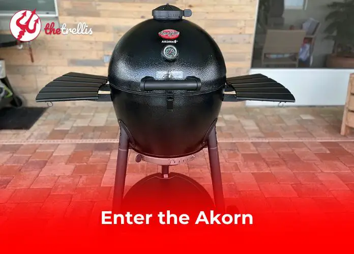 Enter the Akorn