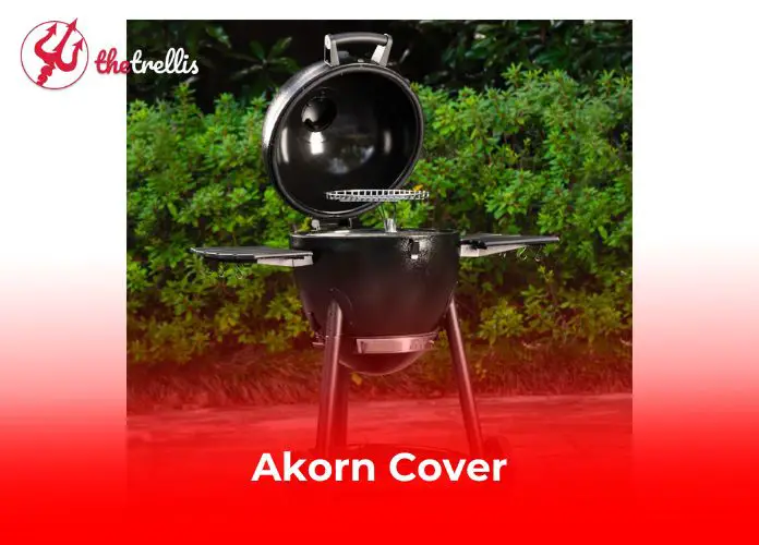 Akorn Cover