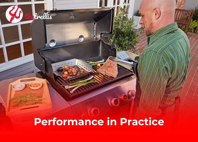 Performance: The Heart of Its Appeal