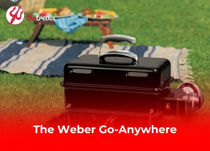 Weber-Go-Anywhere