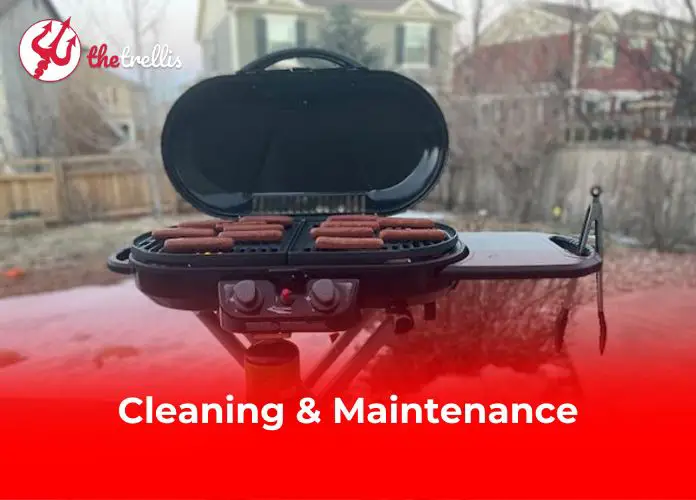 Cleaning & Maintenance