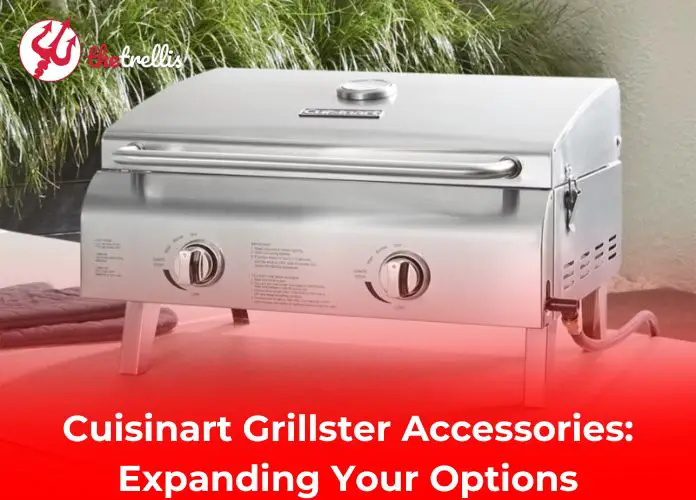 Cuisinart Grillster Accessories: Expanding Your Options