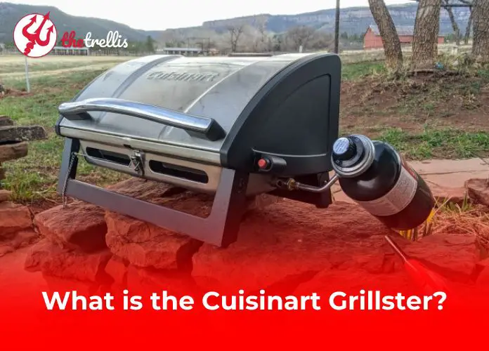 What is the Cuisinart Grillster?