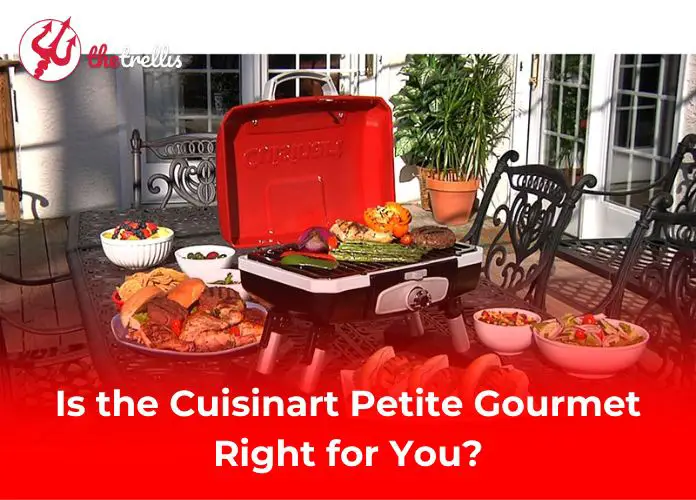 Is the Cuisinart Petite Gourmet Right for You?