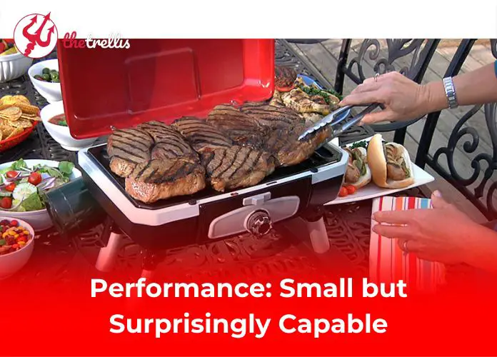 Performance: Small but Surprisingly Capable
