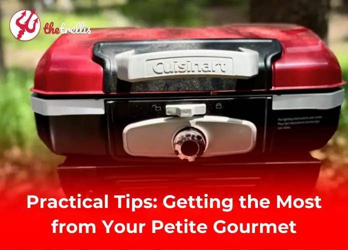 Practical Tips: Getting the Most from Your Petite Gourmet