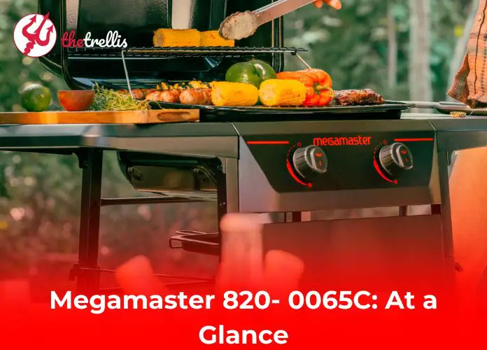 Megamaster 820- 0065C: At a Glance