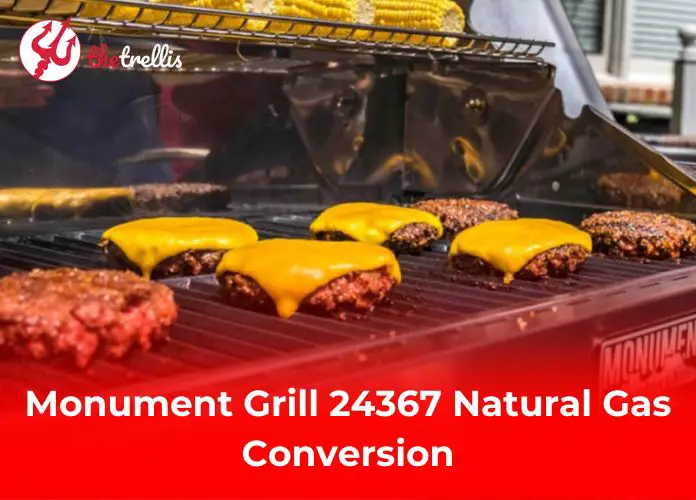 Monument Grill 24367 Natural Gas Conversion