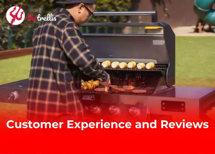 Customer Experience and Reviews 