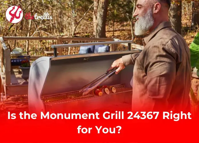 Is the Monument Grill 24367 Right for You?
