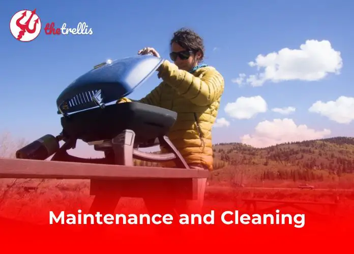 Maintenance and Cleaning
