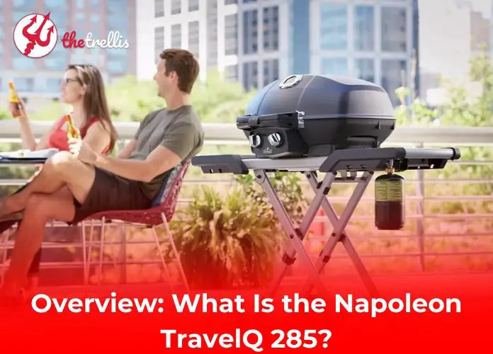 Overview: What Is the Napoleon TravelQ 285?