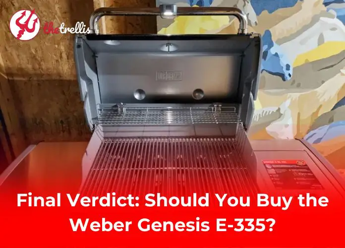 Final Verdict: Should You Buy the Weber Genesis E-335?