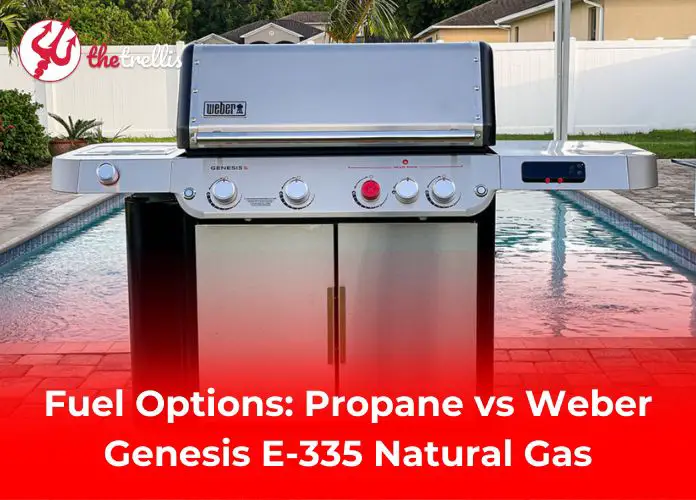 Fuel Options: Propane vs Weber Genesis E-335 Natural Gas