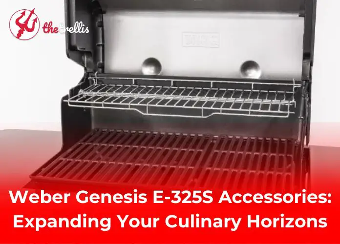 Weber Genesis E-325S Accessories: Expanding Your Culinary Horizons