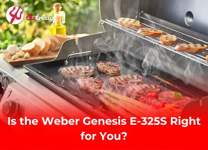 Is the Weber Genesis E-325S Right for You?