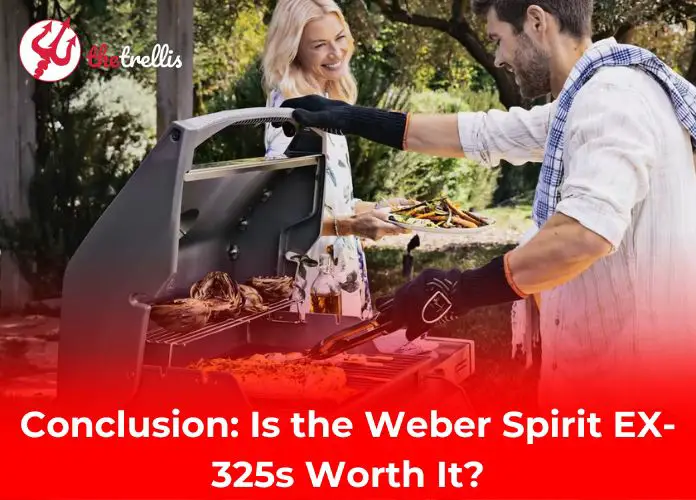 Conclusion: Is the Weber Spirit EX-325s Worth It?