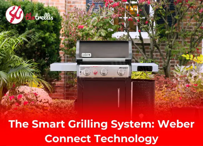 The Smart Grilling System: Weber Connect Technology