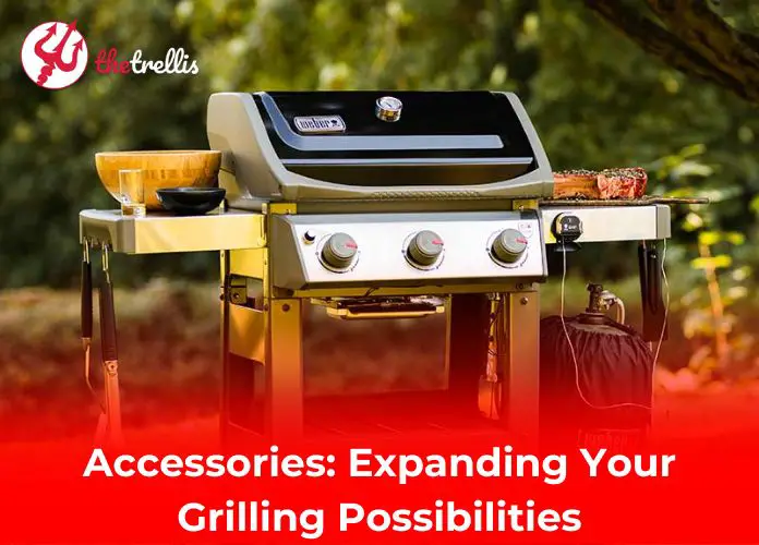 Accessories: Expanding Your Grilling Possibilities