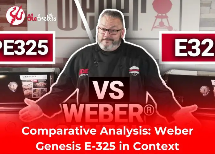 Comparative Analysis: Weber Genesis E-325 in Context
